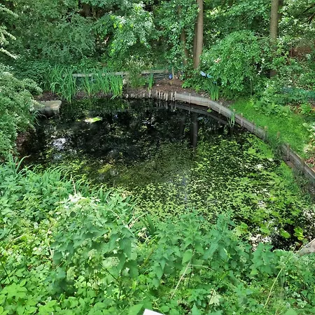 Casa vacanze Paulsen - Gemuetliches Haeuschen Mit Vollstaendig Eingezaeuntem Garten Und Kamin Silberstedt